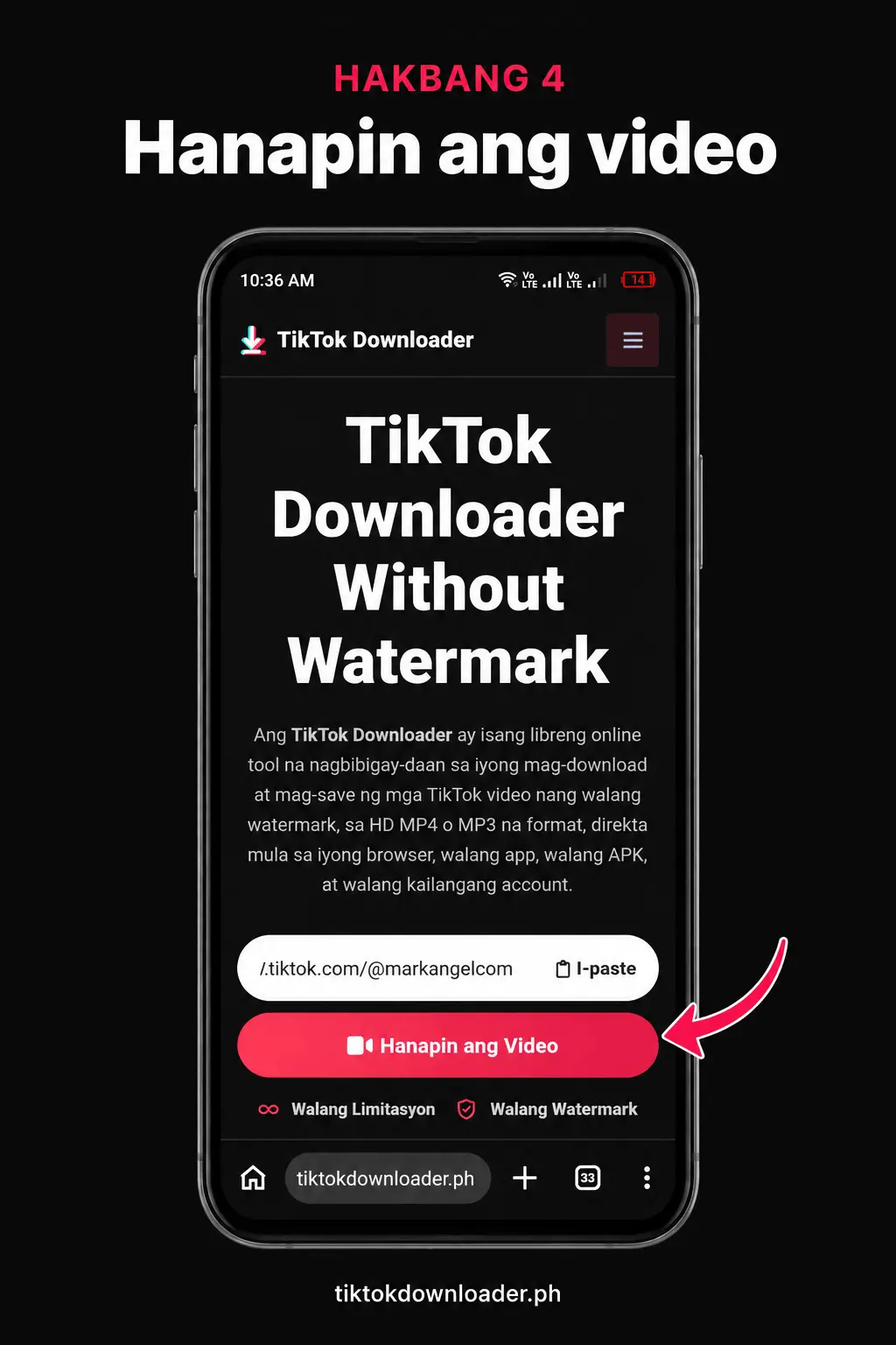 Pindutin ang Hanapin ang Video matapos i-paste ang TikTok link