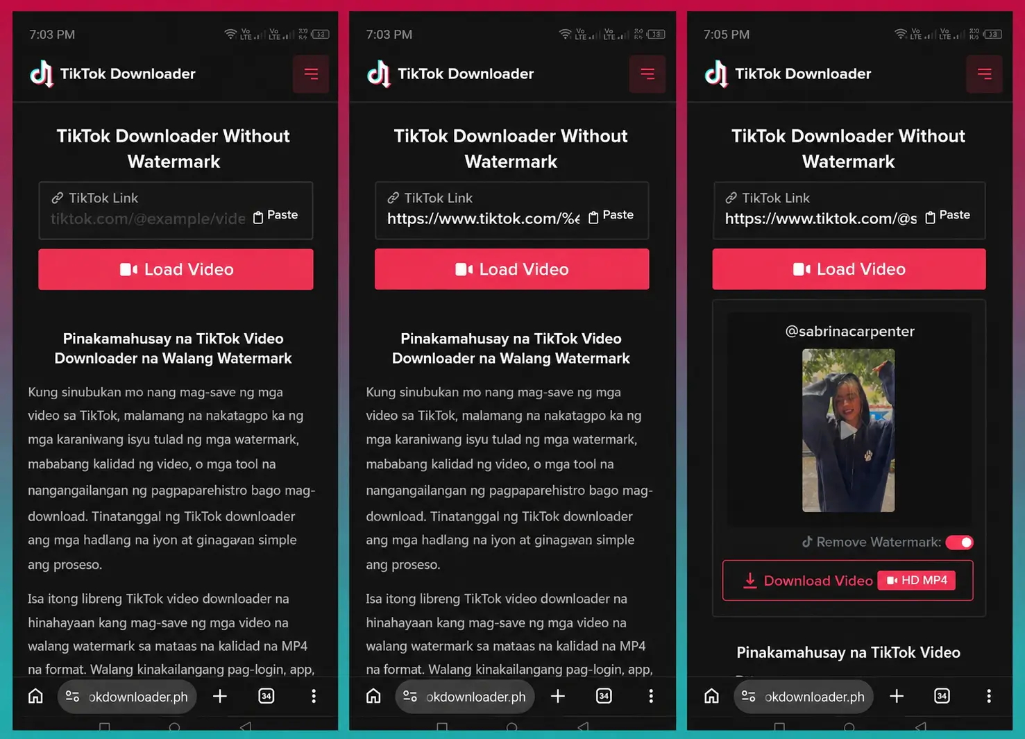 Hakbang 2: I-paste ang TikTok URL sa search box ng TikTok Downloader website sa Android Chrome browser
