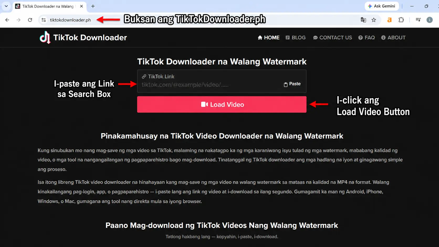 Hakbang 2: I-paste ang TikTok URL sa downloader — PC guide